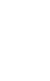 SNAKE emblem